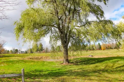 6802 Popple Dungeon Road Windham VT 05359