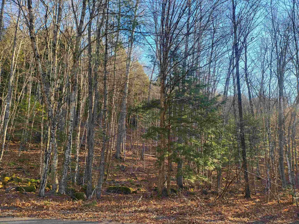 Lot 1 Nh Route 49 Thornton NH 03285