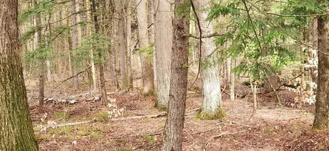 0 Connor Drive Sullivan NH 03445
