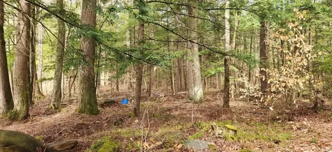 0 Connor Drive Sullivan NH 03445