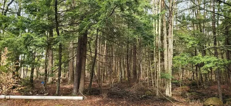 0 Connor Drive Sullivan NH 03445