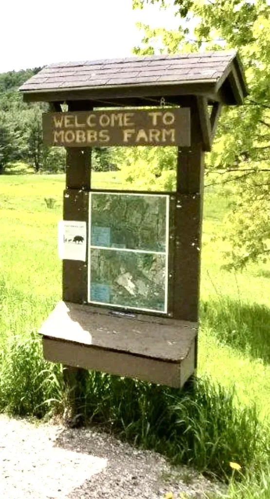 50 Fitzsimonds Road Jericho VT 05465