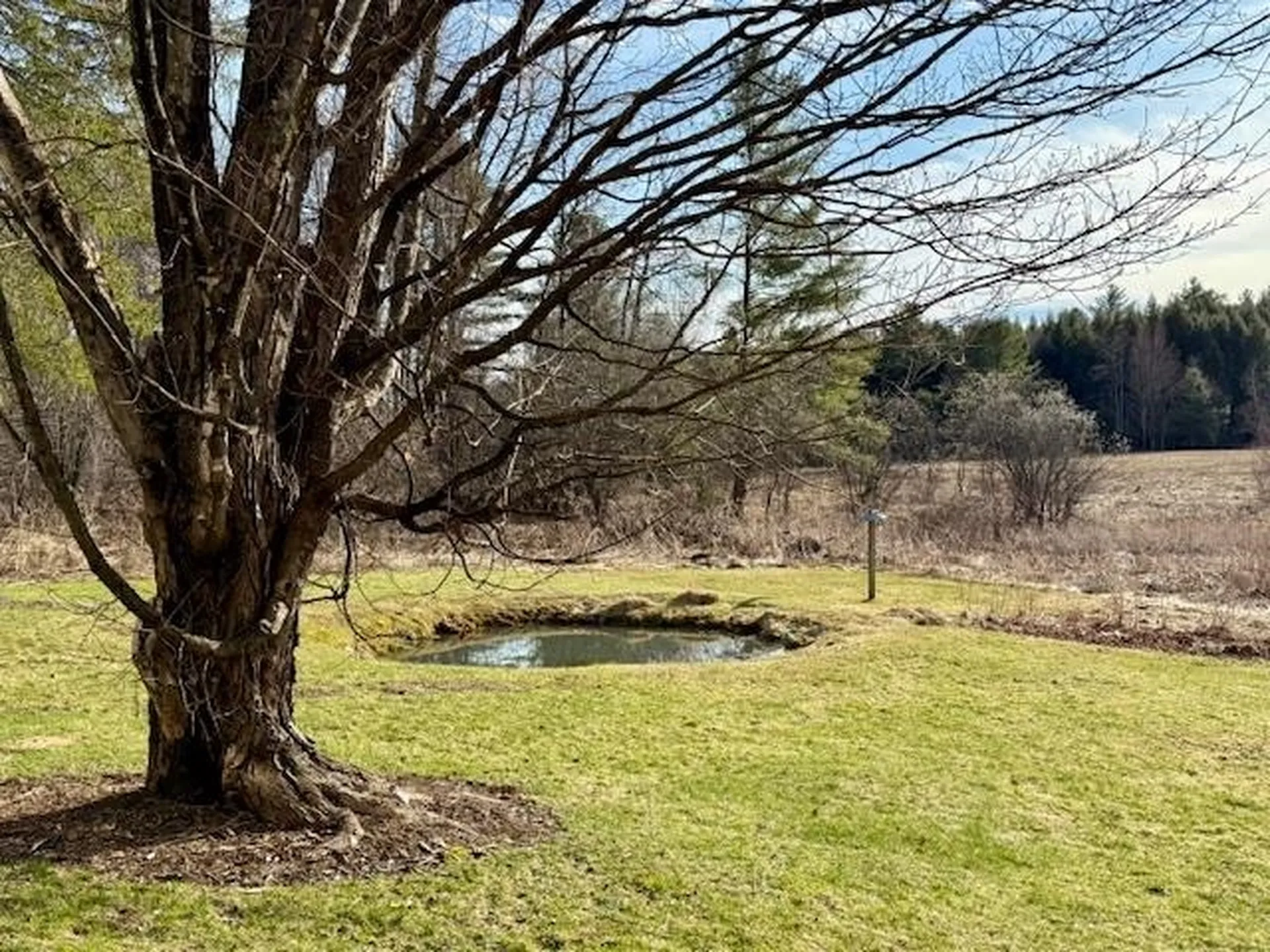 50 Fitzsimonds Road Jericho VT 05465
