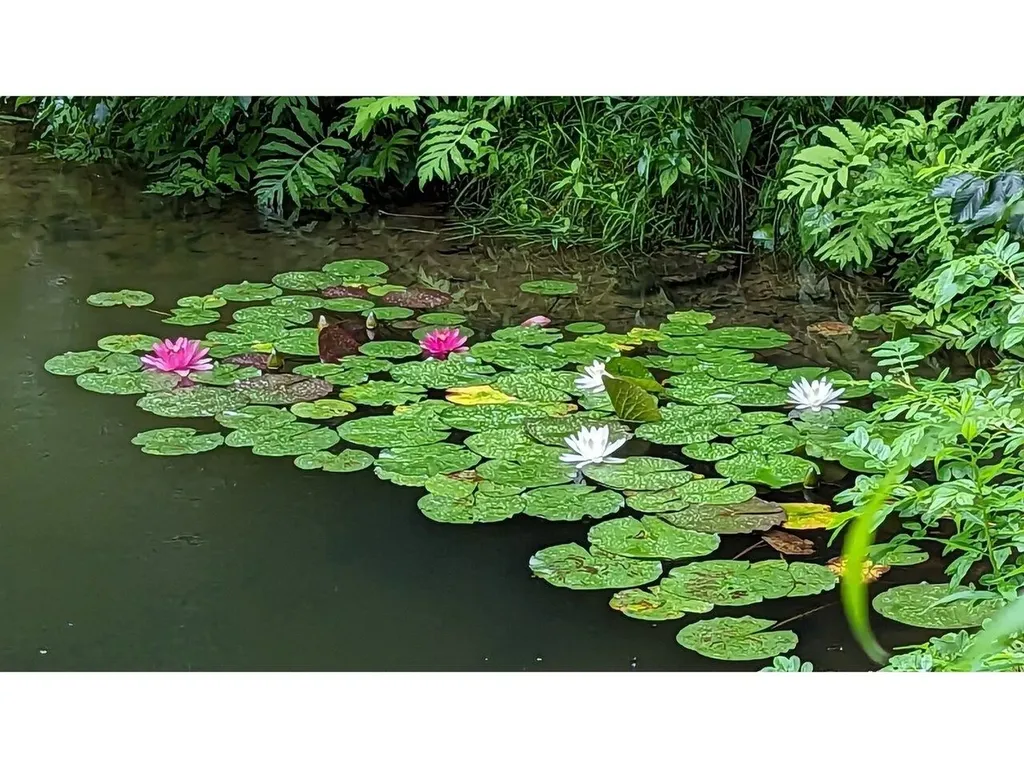 2948 Hill West Road Montgomery VT 05471