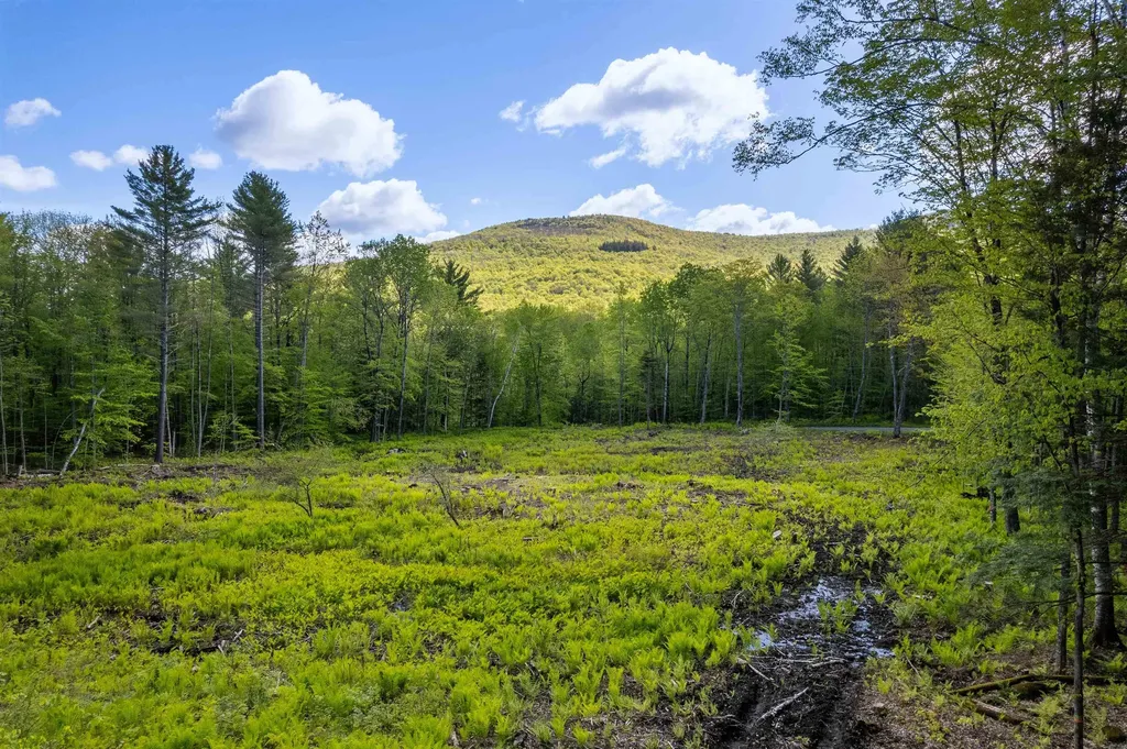 0 Mecawee Road Woodstock VT 05091
