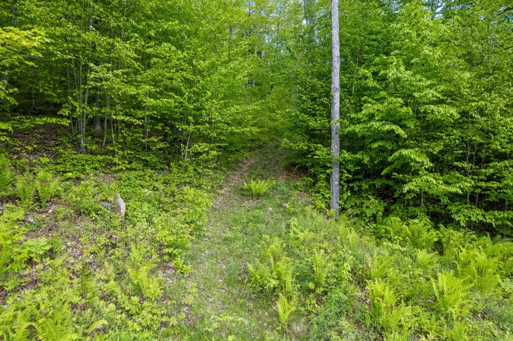 0 Mecawee Road Woodstock VT 05091