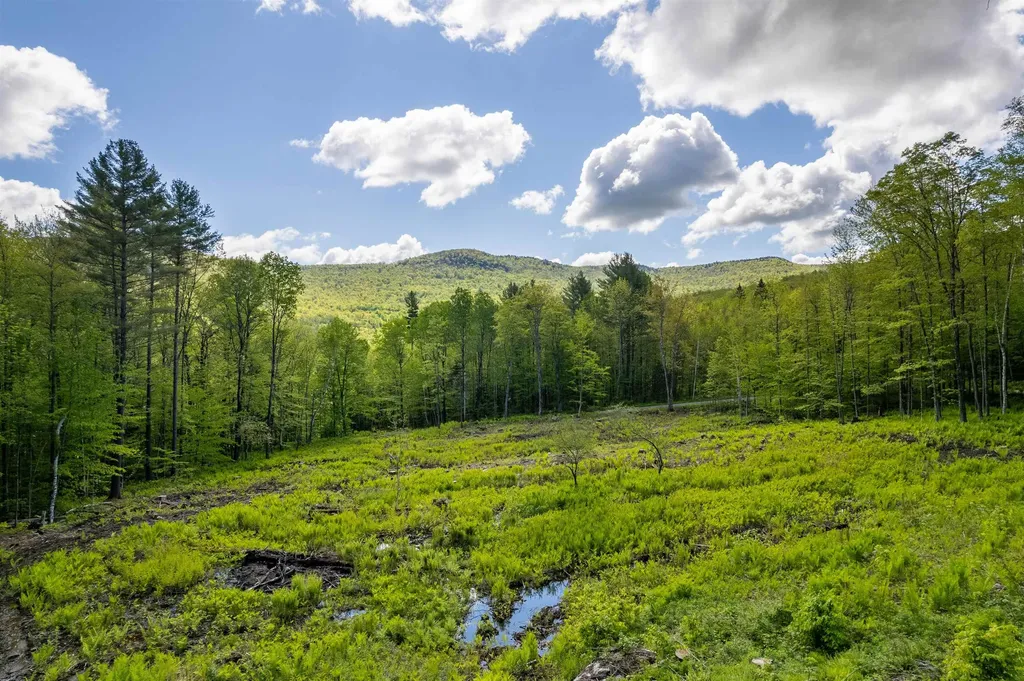 0 Mecawee Road Woodstock VT 05091