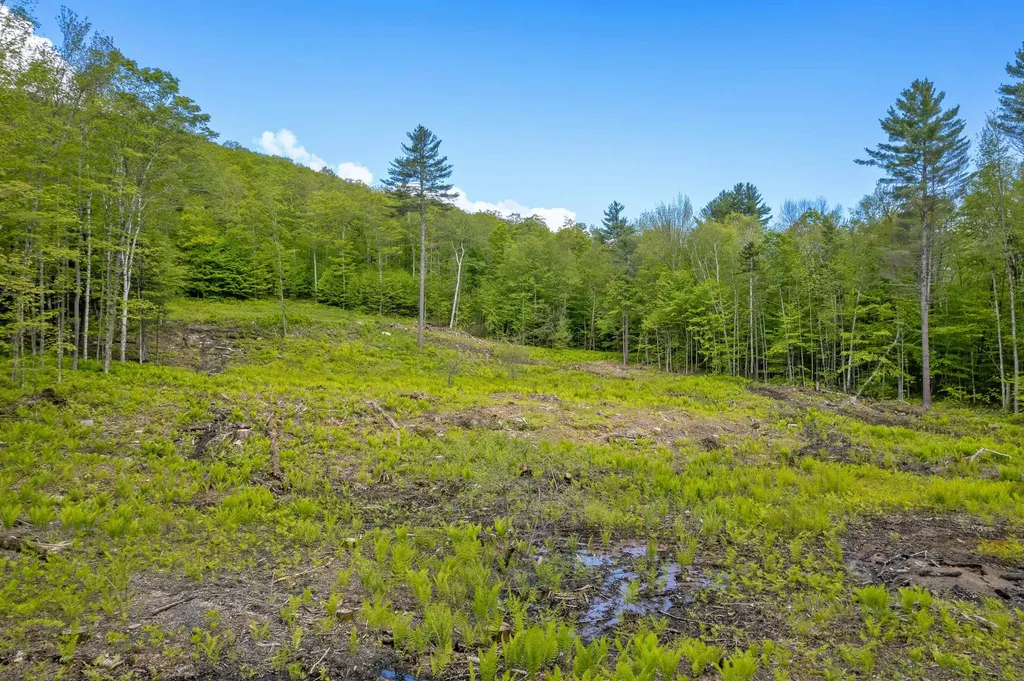 0 Mecawee Road Woodstock VT 05091