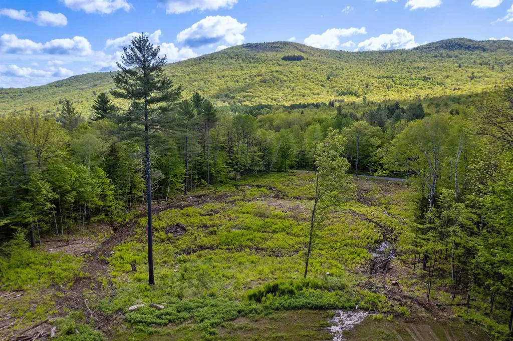 0 Mecawee Road Woodstock VT 05091