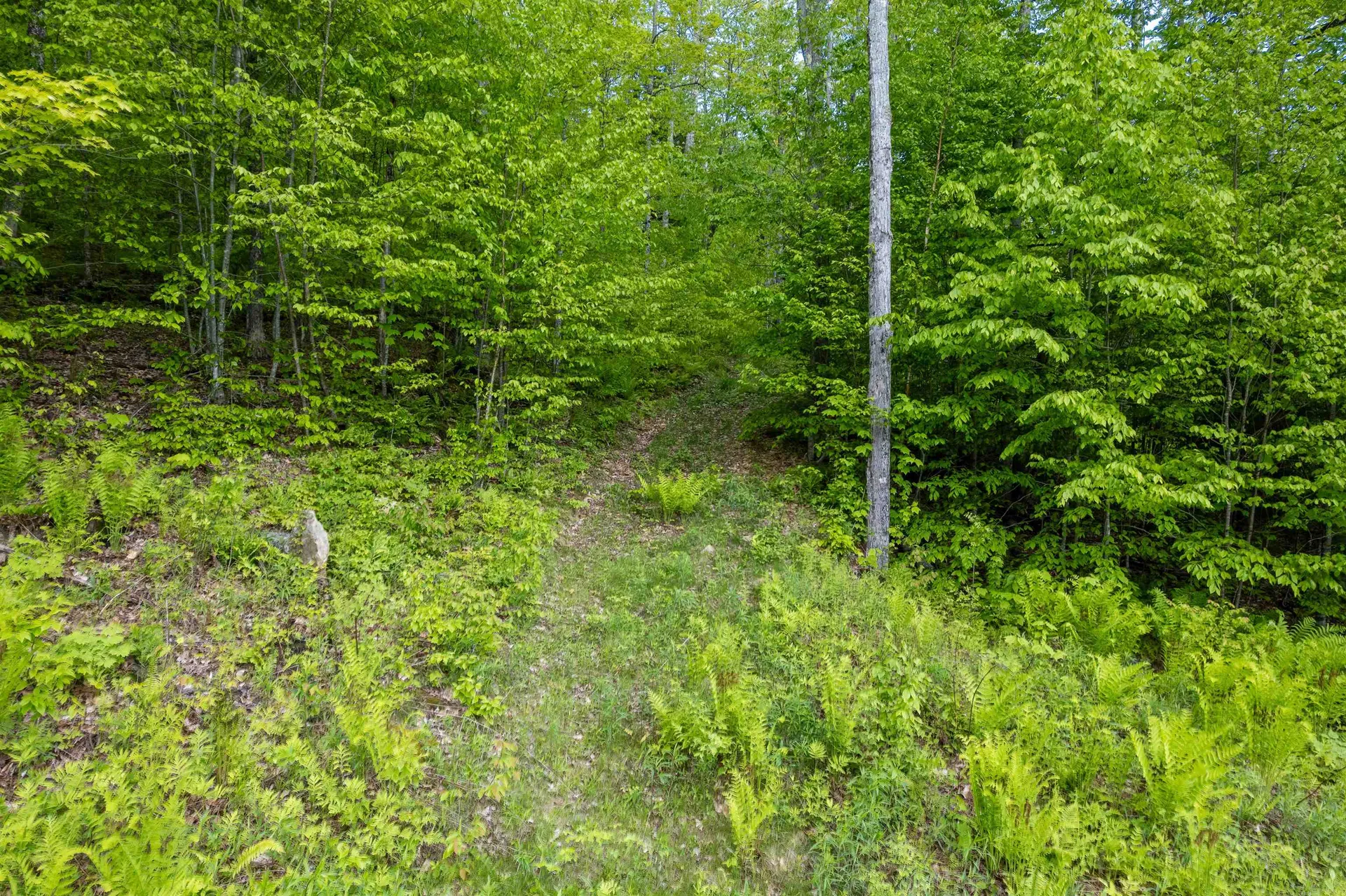 0 Mecawee Road Woodstock VT 05091