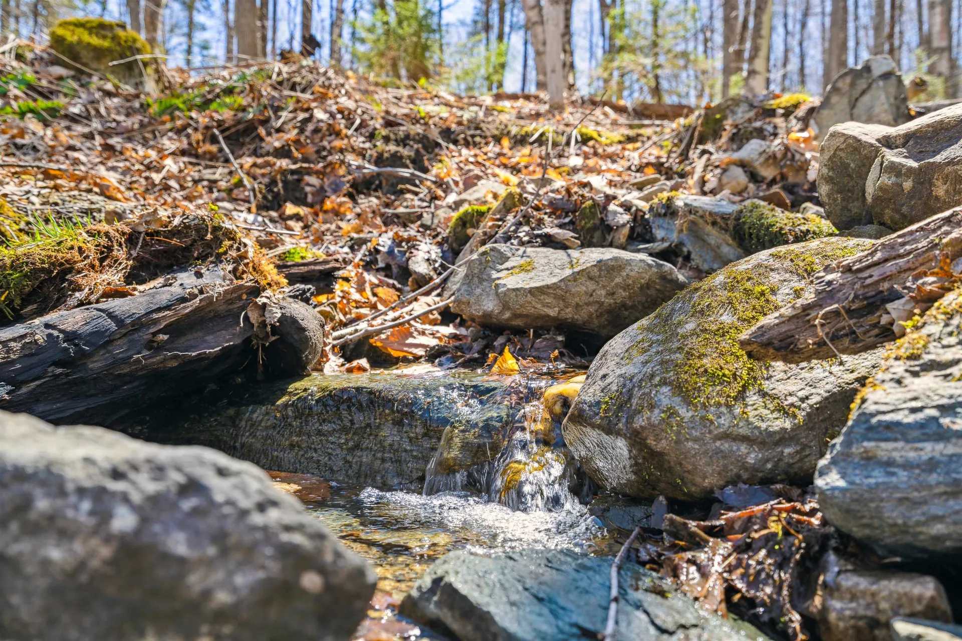 0 Mecawee Road Woodstock VT 05091