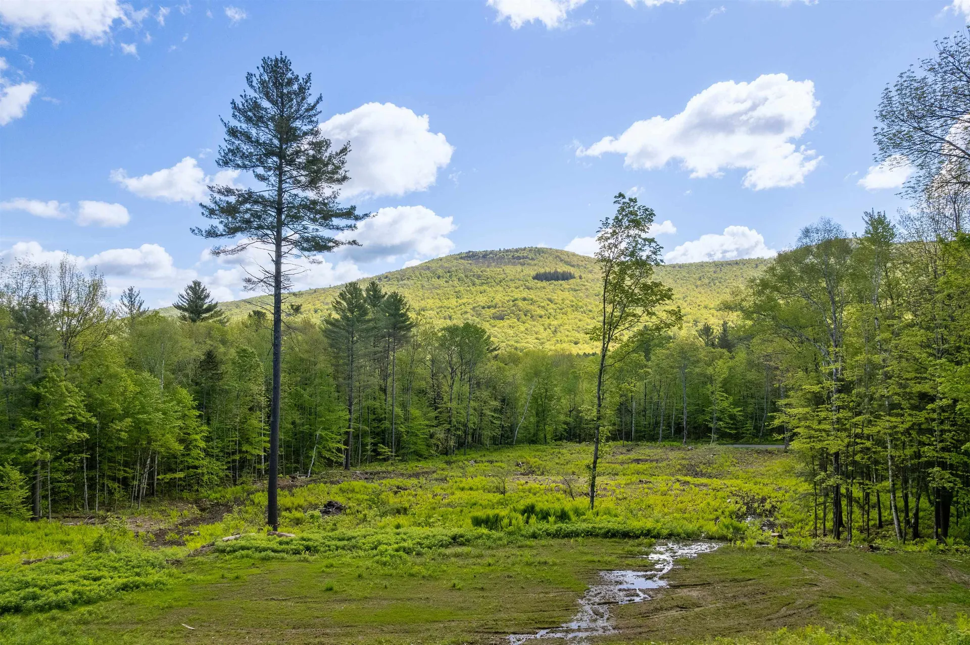 0 Mecawee Road Woodstock VT 05091