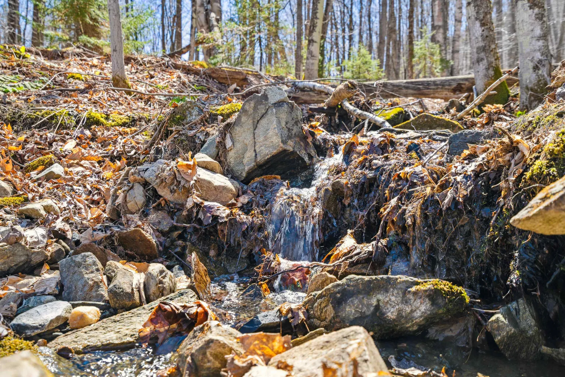 0 Mecawee Road Woodstock VT 05091