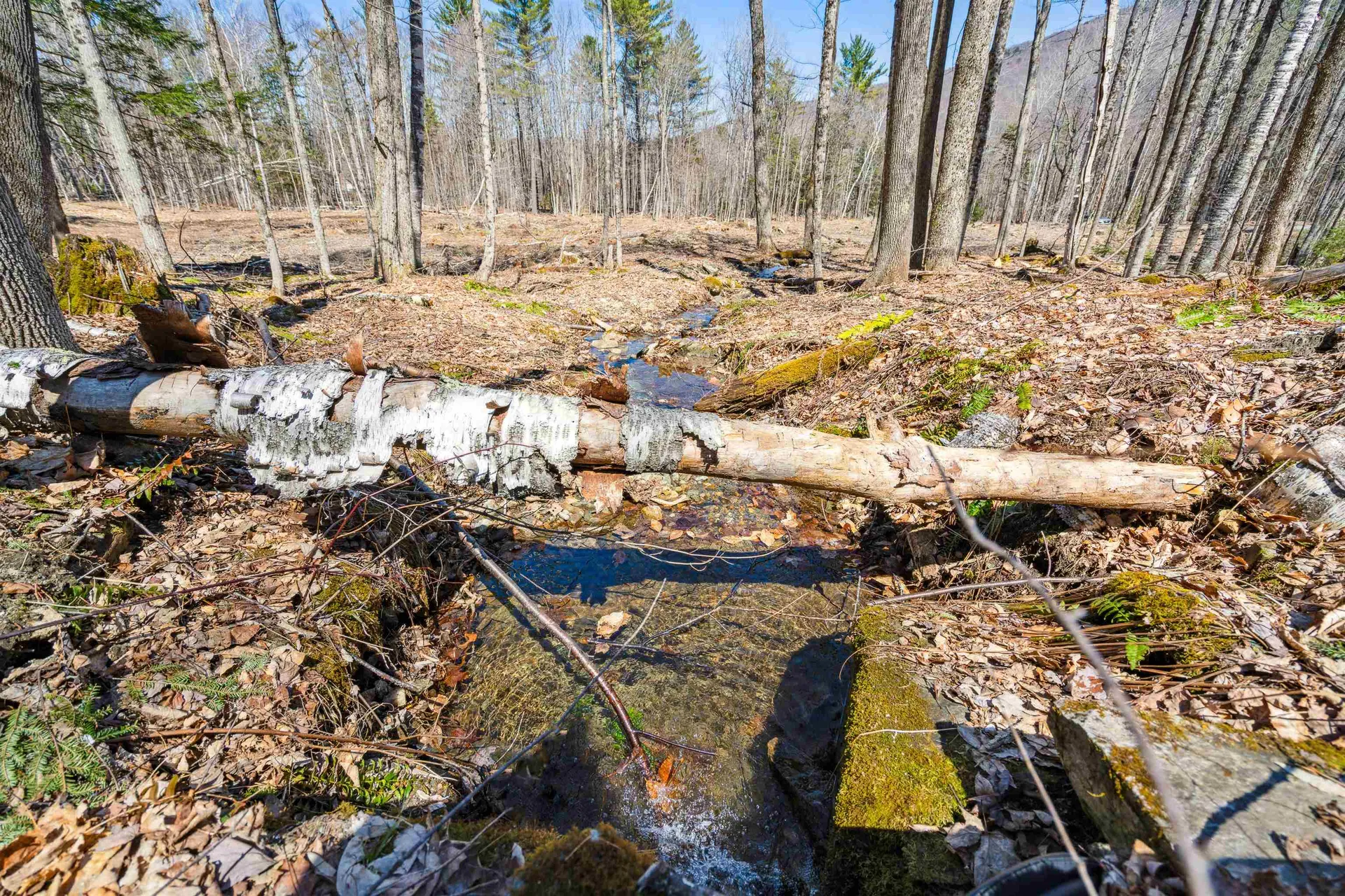 0 Mecawee Road Woodstock VT 05091