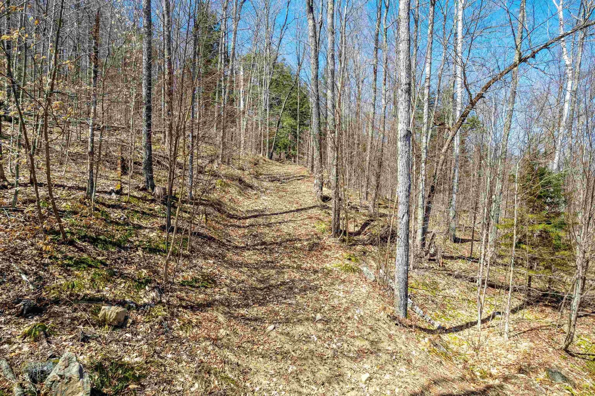 0 Mecawee Road Woodstock VT 05091