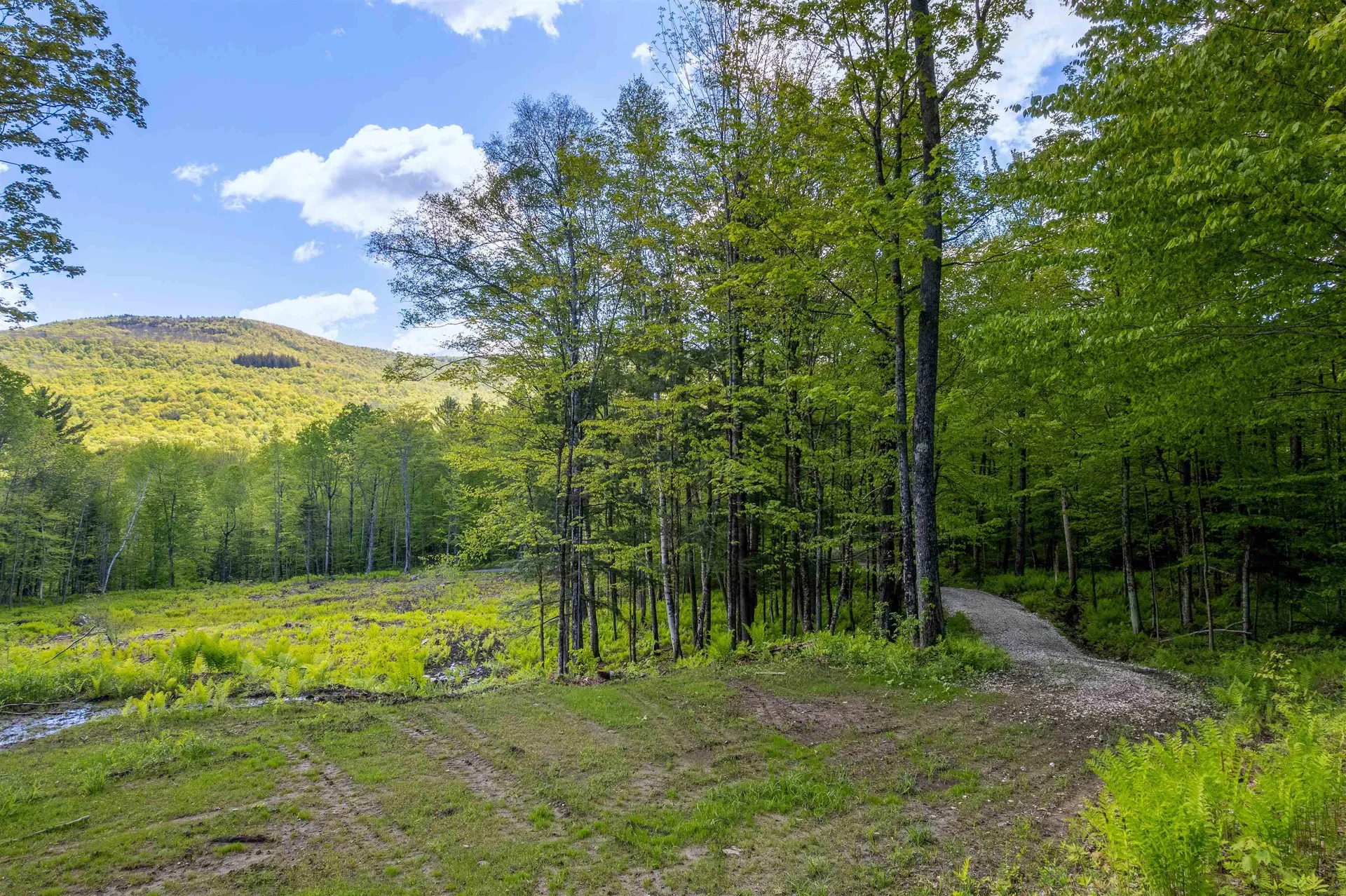 0 Mecawee Road Woodstock VT 05091