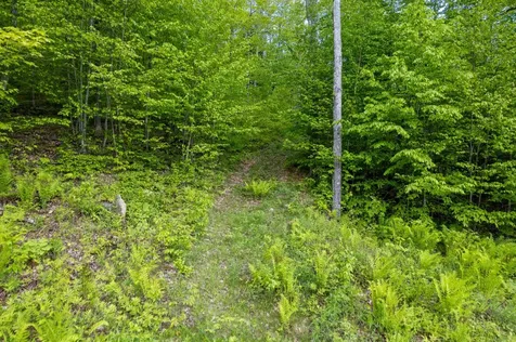 0 Mecawee Road Woodstock VT 05091