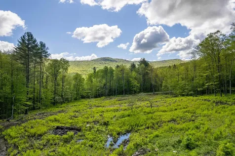 0 Mecawee Road Woodstock VT 05091