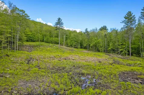0 Mecawee Road Woodstock VT 05091