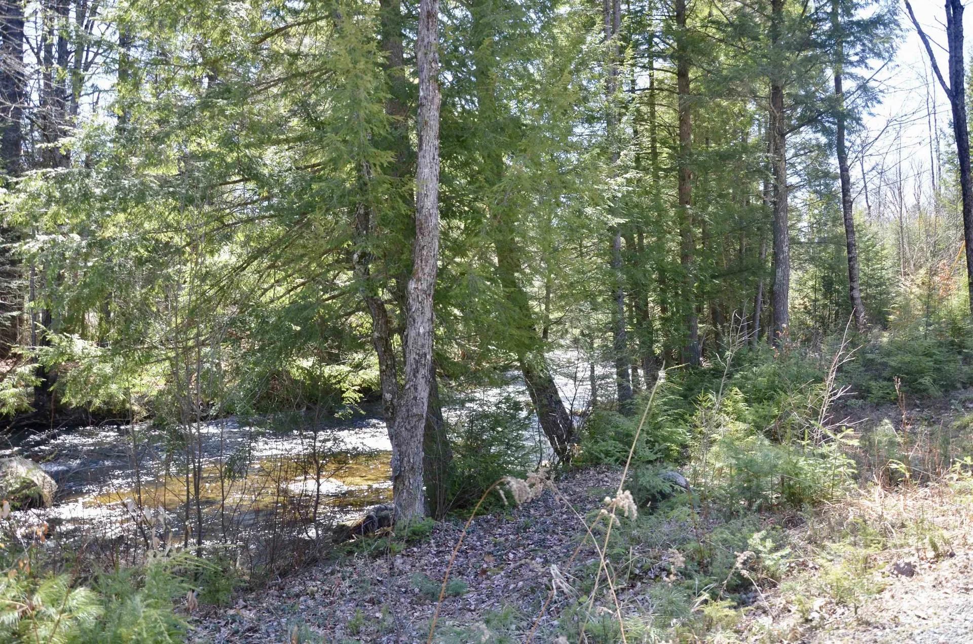 257 River Road Canaan NH 03741