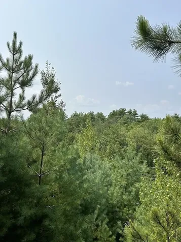 36 Grimstone Drive Belmont NH 03220
