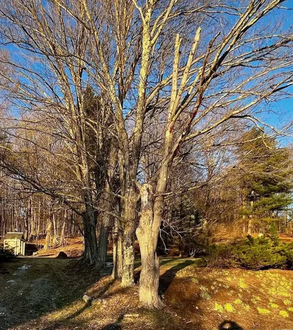 0 Central Street Sunapee NH 03782