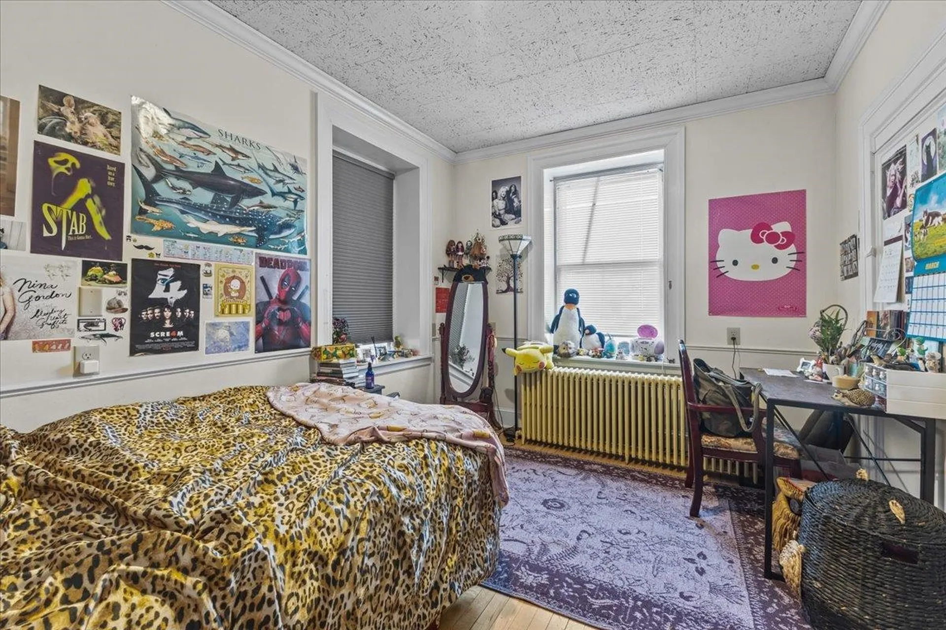 233 Pearl Street Burlington VT 05401