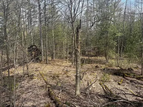 75 Plains Road Jericho VT 05465
