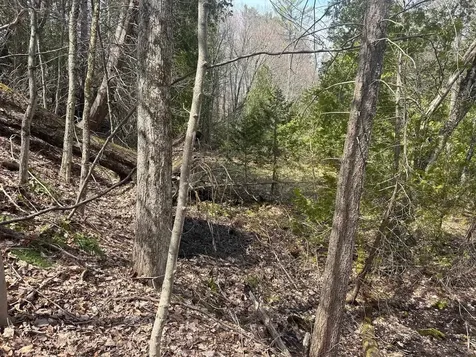 75 Plains Road Jericho VT 05465