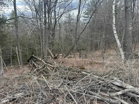 75 Plains Road Jericho VT 05465