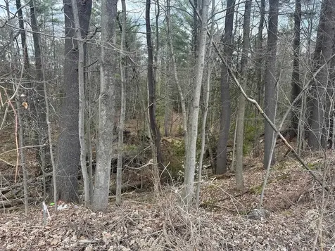 75 Plains Road Jericho VT 05465