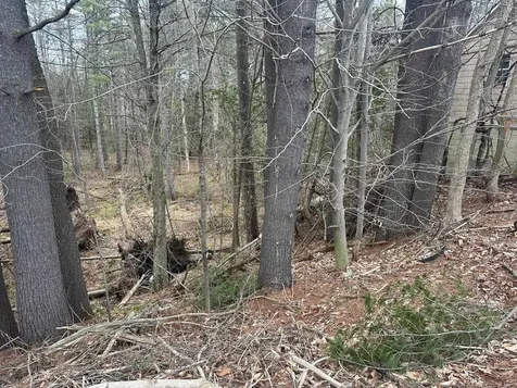 75 Plains Road Jericho VT 05465