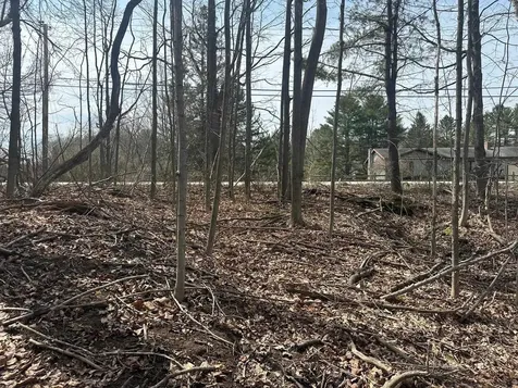 75 Plains Road Jericho VT 05465