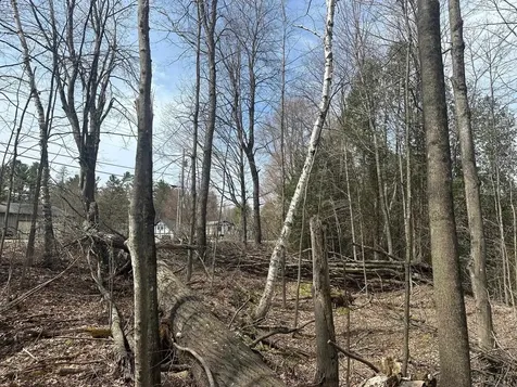 75 Plains Road Jericho VT 05465