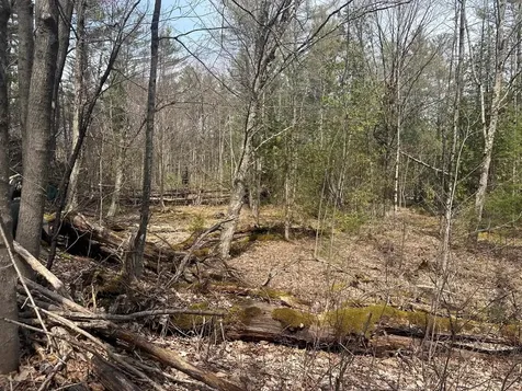 75 Plains Road Jericho VT 05465
