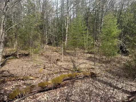 75 Plains Road Jericho VT 05465