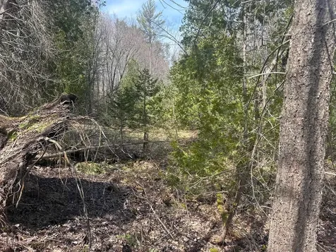 75 Plains Road Jericho VT 05465