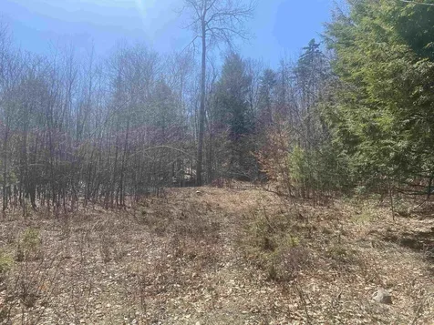 0 Teela Drive Sullivan NH 03445