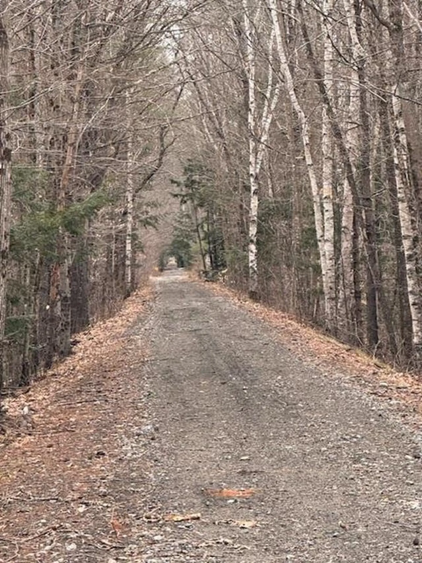 East Side Road Wentworth NH 03282