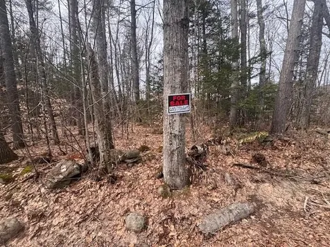 East Side Road Wentworth NH 03282