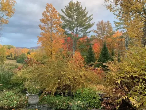 78 Penny Brook Road Randolph VT 05060