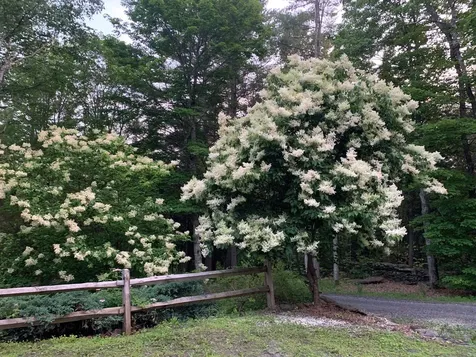 78 Penny Brook Road Randolph VT 05060