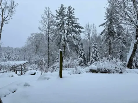 78 Penny Brook Road Randolph VT 05060