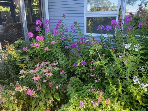 68 Sodom Road Tuftonboro NH 03816
