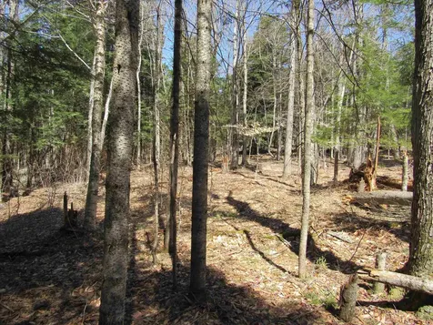 0- Stratton View Road Winhall VT 05340