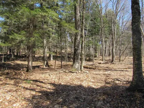 0- Stratton View Road Winhall VT 05340