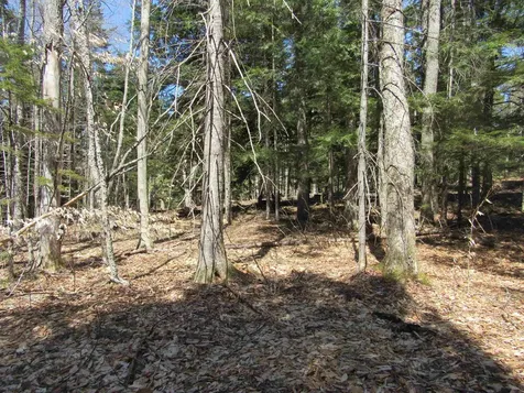0- Stratton View Road Winhall VT 05340