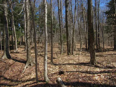 0- Stratton View Road Winhall VT 05340