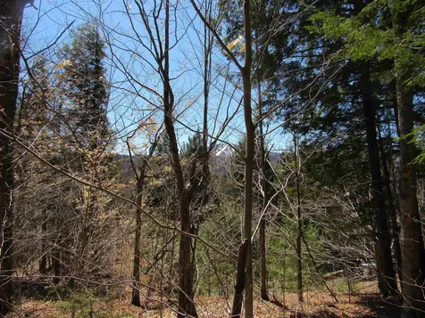 0- Stratton View Road Winhall VT 05340