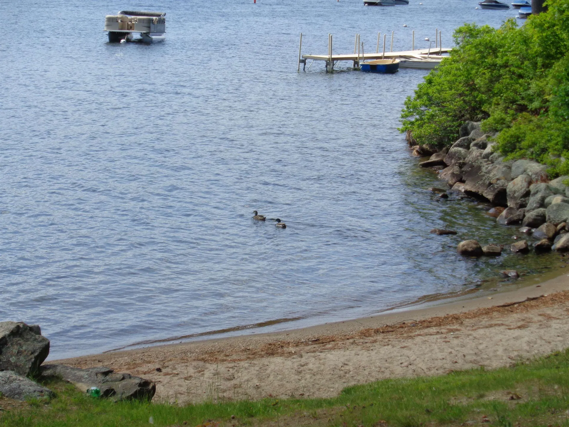 29 Pasquaney Lane Bridgewater NH 03222